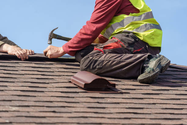 Best Roof Gutter Cleaning  in Hoopers Creek, NC
